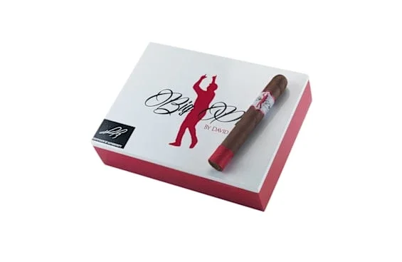 Big Papi By David Ortiz Toro