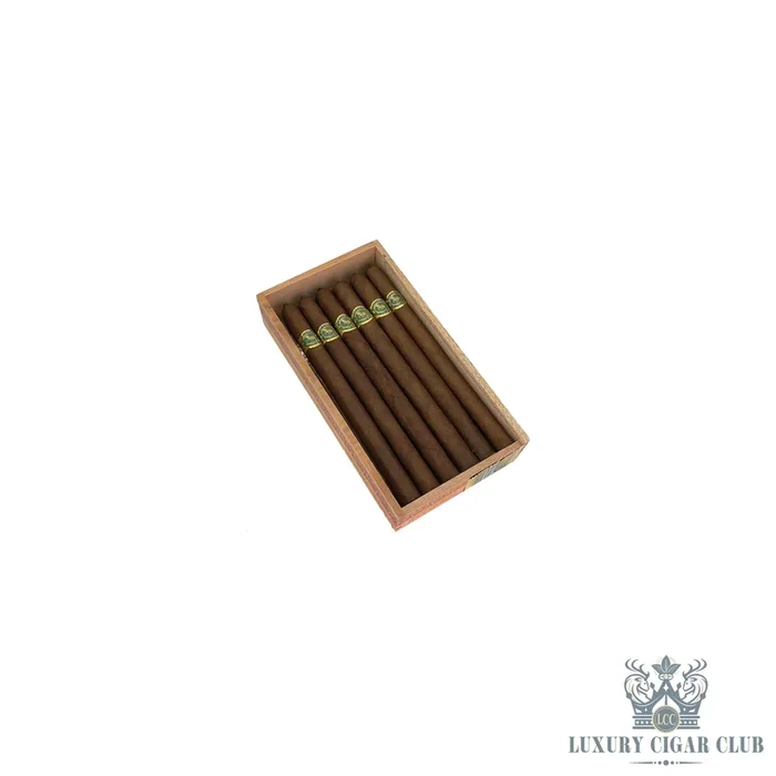 Casdagli Daughters of the Wind