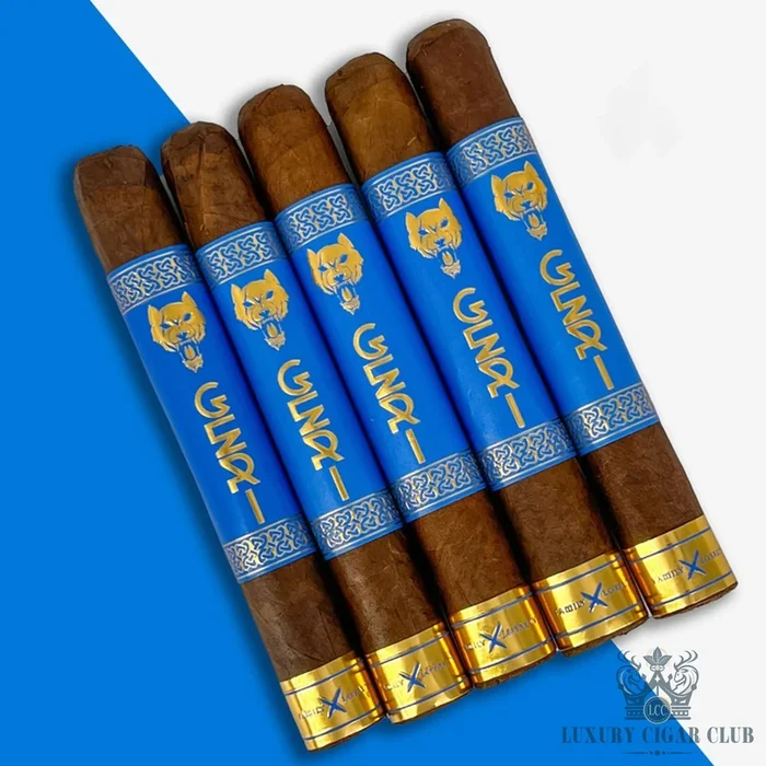 Family X Loyalty Geri Habano