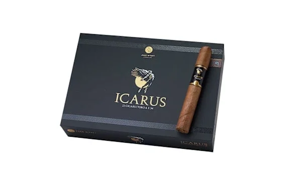 Jake Wyatt Icarus Toro