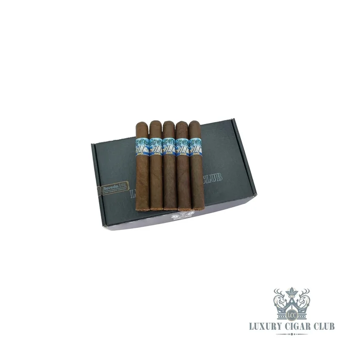 LCC Discord Exclusive: Shipwreck