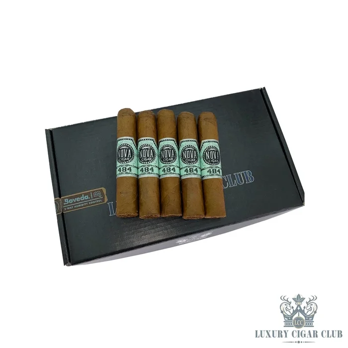 Platinum Nova 484 Dominican