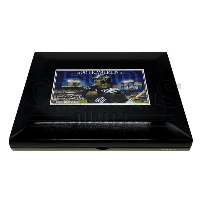 Rocky Patel HR500 by Gary Sheffield