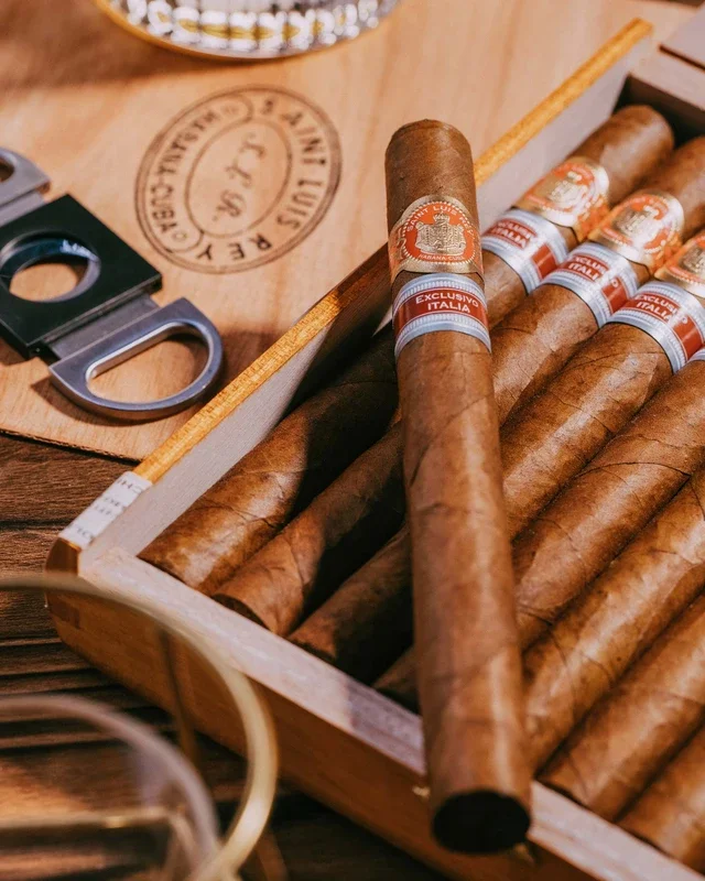 Saint Luis Rey La Cuna Edición Regional Italia 2024