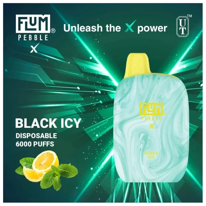 FLUM Pebble – Black Icy
