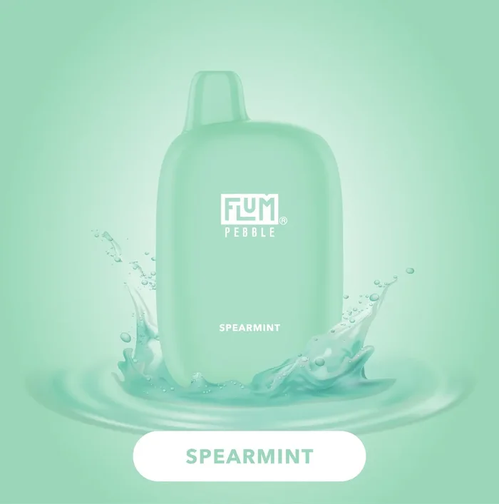 FLUM Pebble – Spearmint