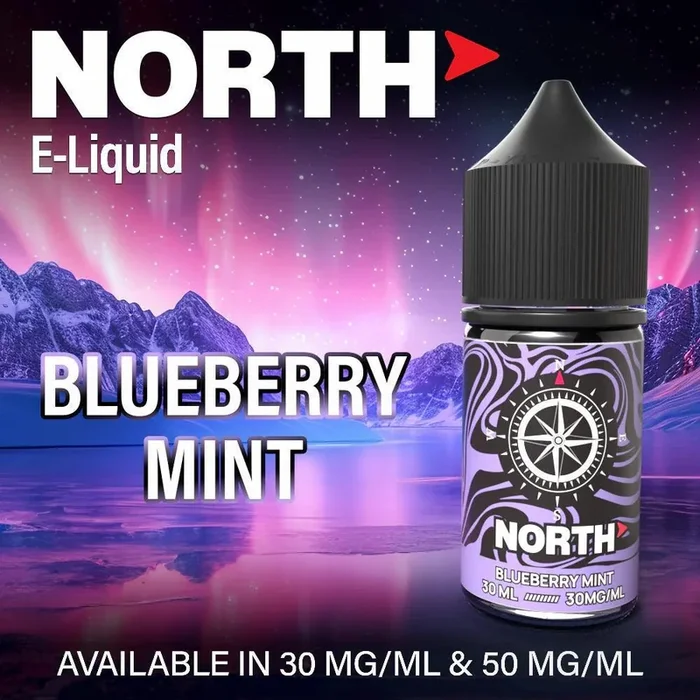 Blueberry Mint – North Salt E-Liquid 30mL